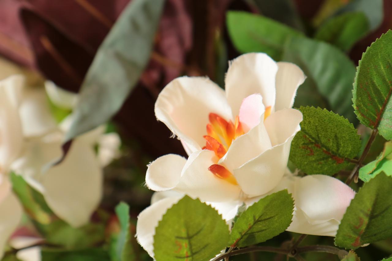 B&B Pietrarsa Portici Ngoại thất bức ảnh